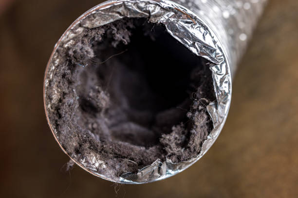 Best Commercial Air Duct Cleaning  in Golden Valley, MN