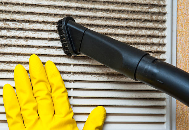 Best Ductwork Cleaning Services  in Golden Valley, MN
